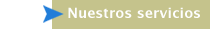 Nuestros servicios