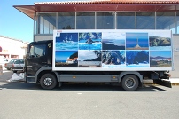 Promotion and development everywhere